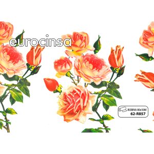 62R857-Bobina POLIPROPILENO TRANSPARENTE IMPRESO DISEÑO 35micras 80 x 50m.